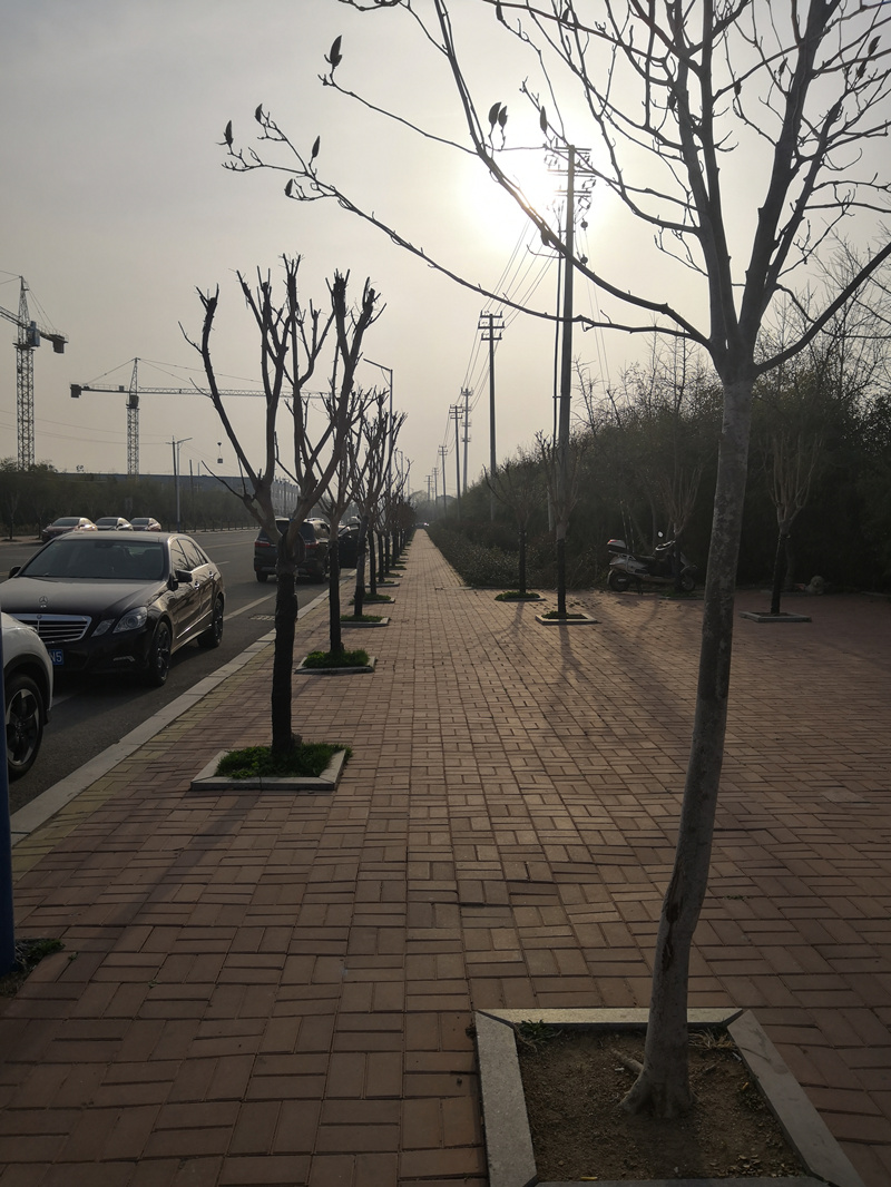 海陽市政工程(圖3)