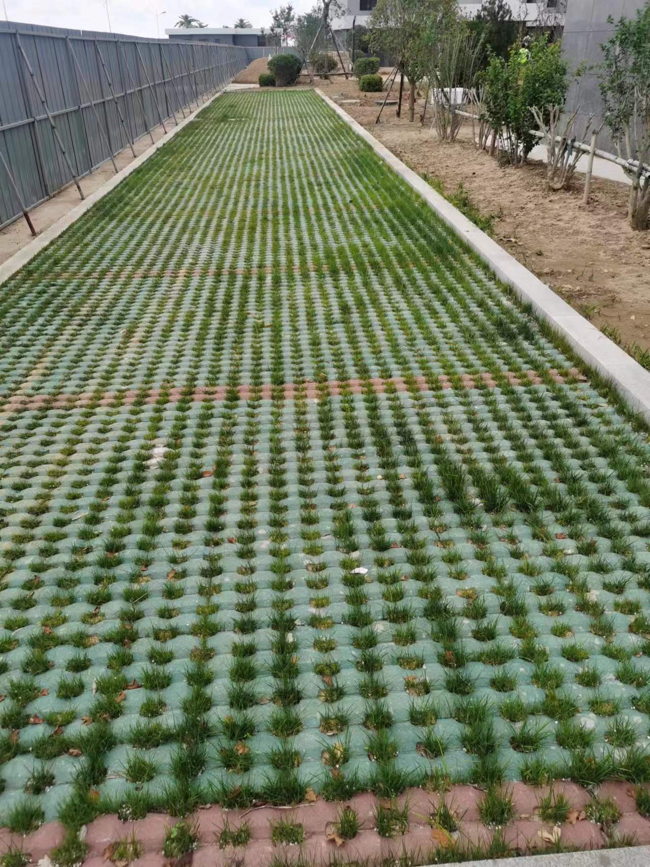老舊小區(qū)改造植草磚 路面磚3.jpg